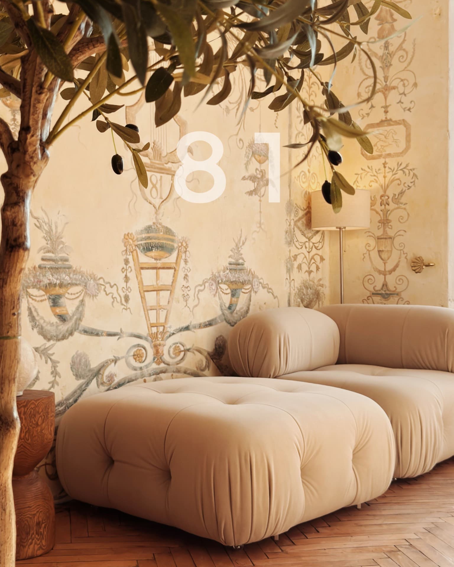 Studio81