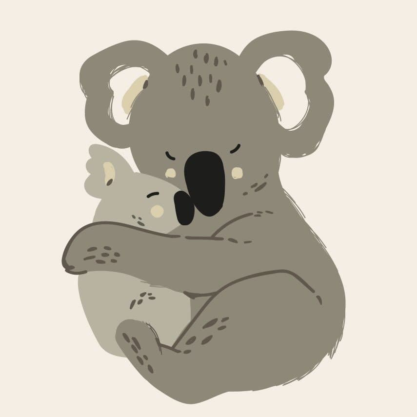 КОАЛА